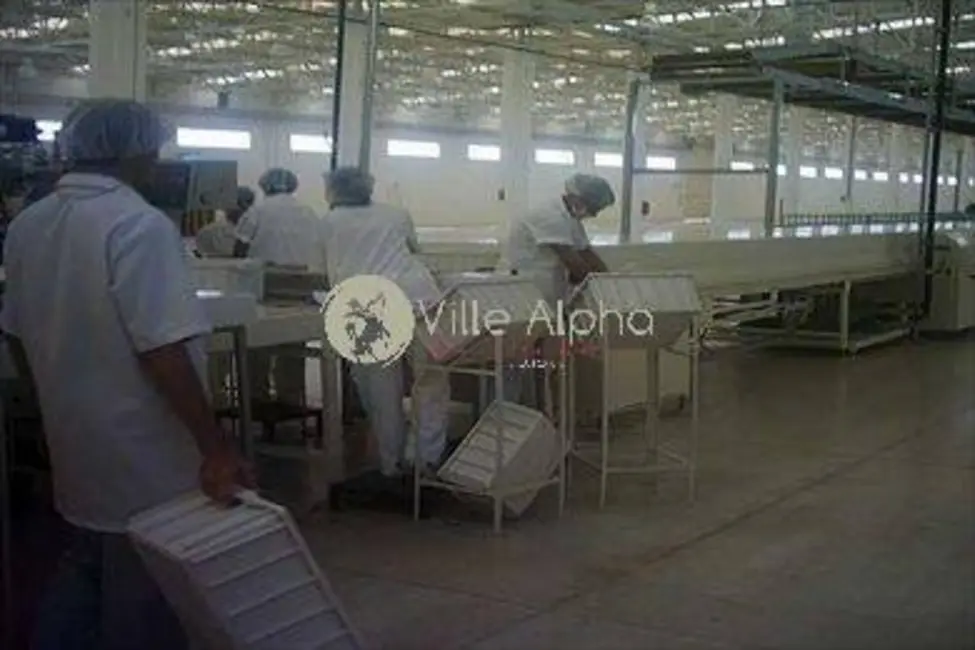 Foto 9 de Sala Comercial à venda, 10000m2 em Rio Claro - SP