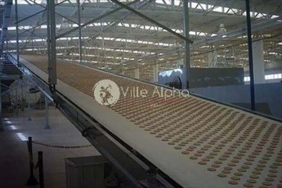 Foto 6 de Sala Comercial à venda, 10000m2 em Rio Claro - SP