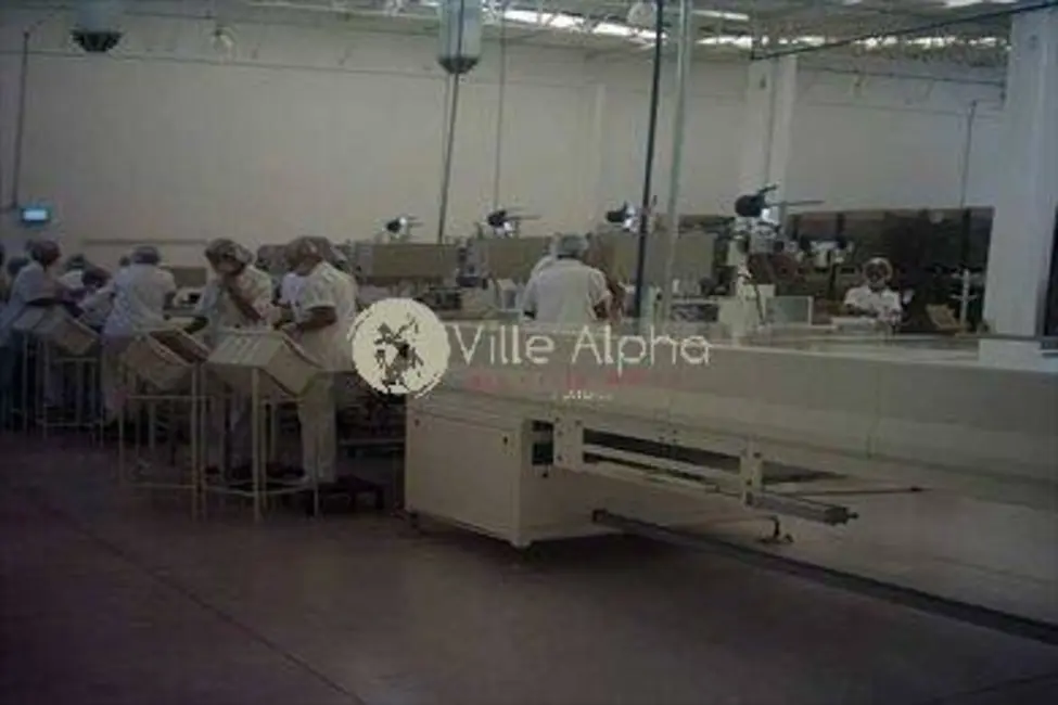 Foto 8 de Sala Comercial à venda, 10000m2 em Rio Claro - SP