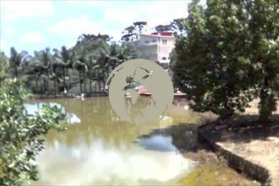 Terreno / Lote à venda, 1000m2 em Pinhalzinho - SP - imagem 9 Foto 9 de Terreno / Lote à venda, 1000m2 em Pinhalzinho - SP