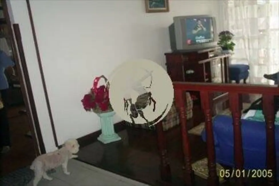 Apartamento com 2 quartos à venda, 290m2 em Campo Grande, Santos - SP - imagem 8 Foto 8 de Apartamento com 2 quartos à venda, 290m2 em Campo Grande, Santos - SP