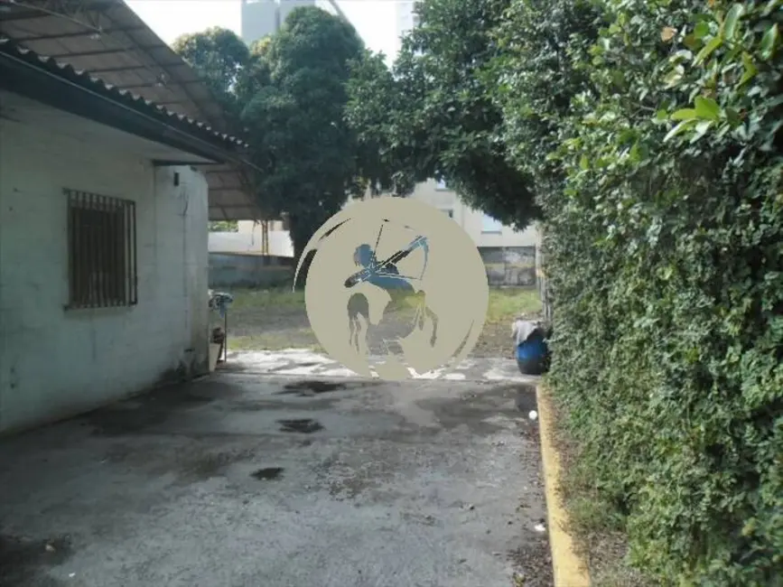 Foto 4 de Terreno / Lote à venda, 800m2 em Encruzilhada, Santos - SP