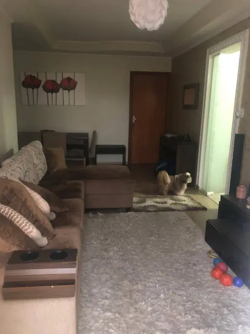 Apartamento com 3 quartos à venda, 113m2 em Santa Maria, Sao Caetano Do Sul - SP - imagem 6 Foto 6 de Apartamento com 3 quartos à venda, 113m2 em Santa Maria, Sao Caetano Do Sul - SP