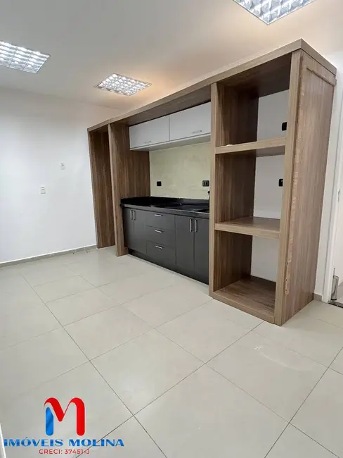 Foto 9 de Sala Comercial para alugar, 450m2 em Jardim Avelino, São Paulo - SP