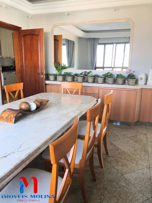 Foto 2 de Apartamento com 4 quartos à venda e para alugar, 228m2 em Vila Prudente, São Paulo - SP