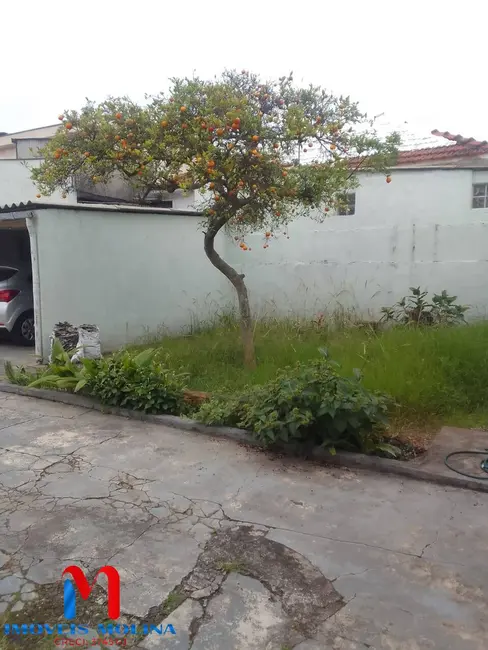 Foto 7 de Casa com 3 quartos à venda, 10533m2 em Nova Gerty, Sao Caetano Do Sul - SP