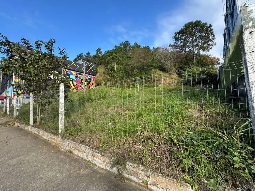Terreno / Lote à venda em Pioneiros, Balneario Camboriu - SC - imagem 1 Foto 1 de Terreno / Lote à venda em Pioneiros, Balneario Camboriu - SC
