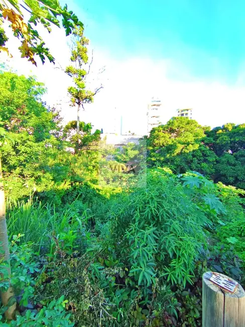 Terreno / Lote à venda, 800m2 em São Judas Tadeu, Guarapari - ES - imagem 5 Foto 5 de Terreno / Lote à venda, 800m2 em São Judas Tadeu, Guarapari - ES