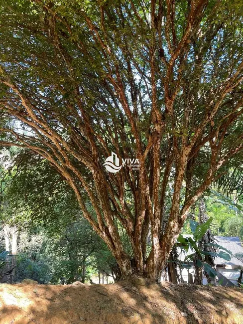 Foto 8 de Chácara com 3 quartos à venda, 150m2 em Guarapari - ES