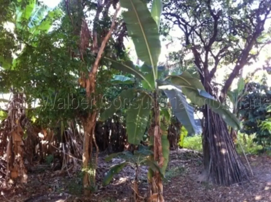 Casa com 2 quartos à venda, 162m2 em Jardim Paulistano, Sorocaba - SP - imagem 8 Foto 8 de Casa com 2 quartos à venda, 162m2 em Jardim Paulistano, Sorocaba - SP