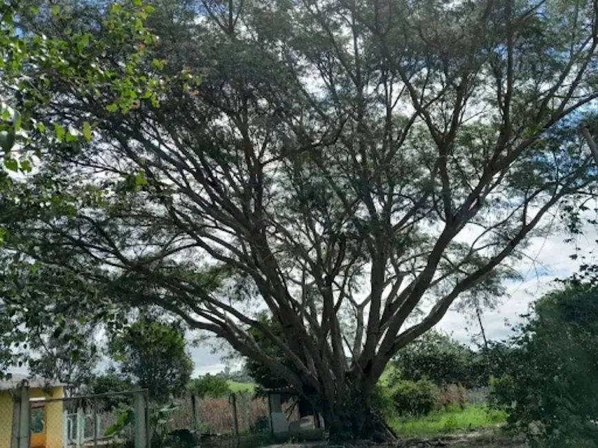 Chácara com 3 quartos à venda em Sarapui - SP - imagem 4 Foto 4 de Chácara com 3 quartos à venda em Sarapui - SP