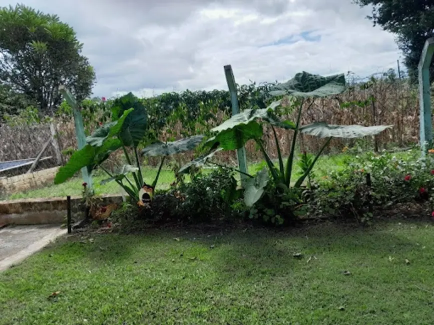 Chácara com 3 quartos à venda em Sarapui - SP - imagem 3 Foto 3 de Chácara com 3 quartos à venda em Sarapui - SP