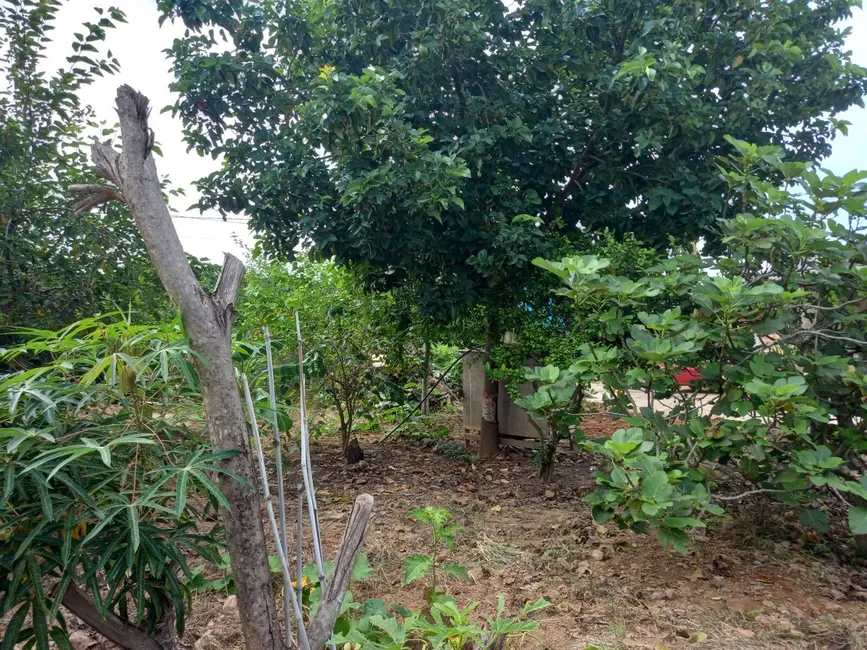 Foto 5 de Chácara à venda em Ipero - SP