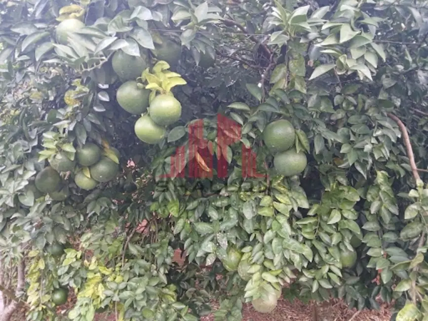 Foto 7 de Chácara com 3 quartos à venda, 180m2 em Aracoiaba Da Serra - SP