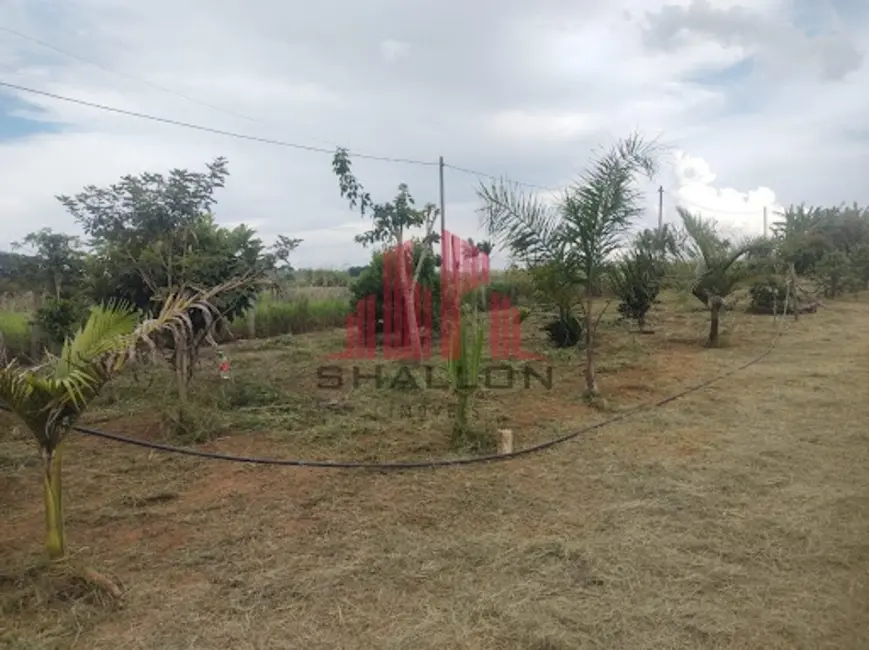 Chácara à venda, 2000m2 em Sarapui - SP - imagem 7 Foto 7 de Chácara à venda, 2000m2 em Sarapui - SP