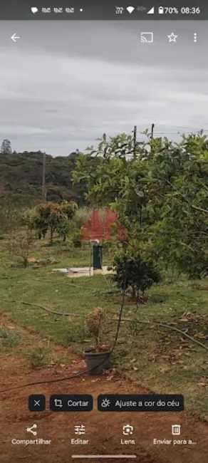 Chácara à venda, 2000m2 em Sarapui - SP - imagem 9 Foto 9 de Chácara à venda, 2000m2 em Sarapui - SP