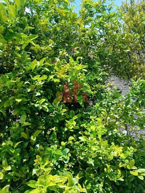 Foto 1 de Chácara com 1 quarto à venda, 500m2 em Tatui - SP