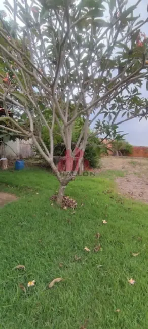 Chácara à venda, 1000m2 em Ipero - SP - imagem 9 Foto 9 de Chácara à venda, 1000m2 em Ipero - SP