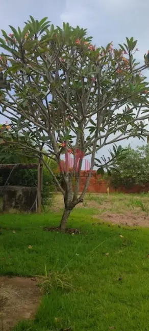 Chácara à venda, 1000m2 em Ipero - SP - imagem 3 Foto 3 de Chácara à venda, 1000m2 em Ipero - SP