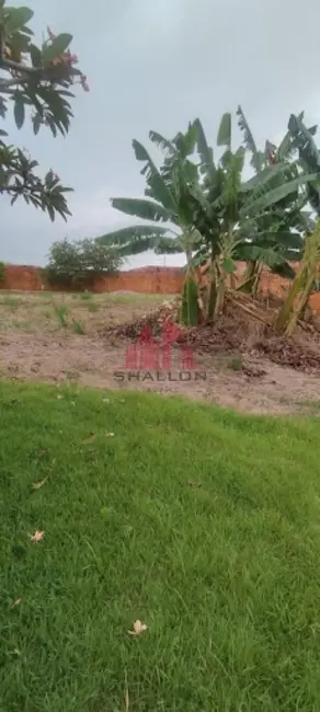 Chácara à venda, 1000m2 em Ipero - SP - imagem 2 Foto 2 de Chácara à venda, 1000m2 em Ipero - SP