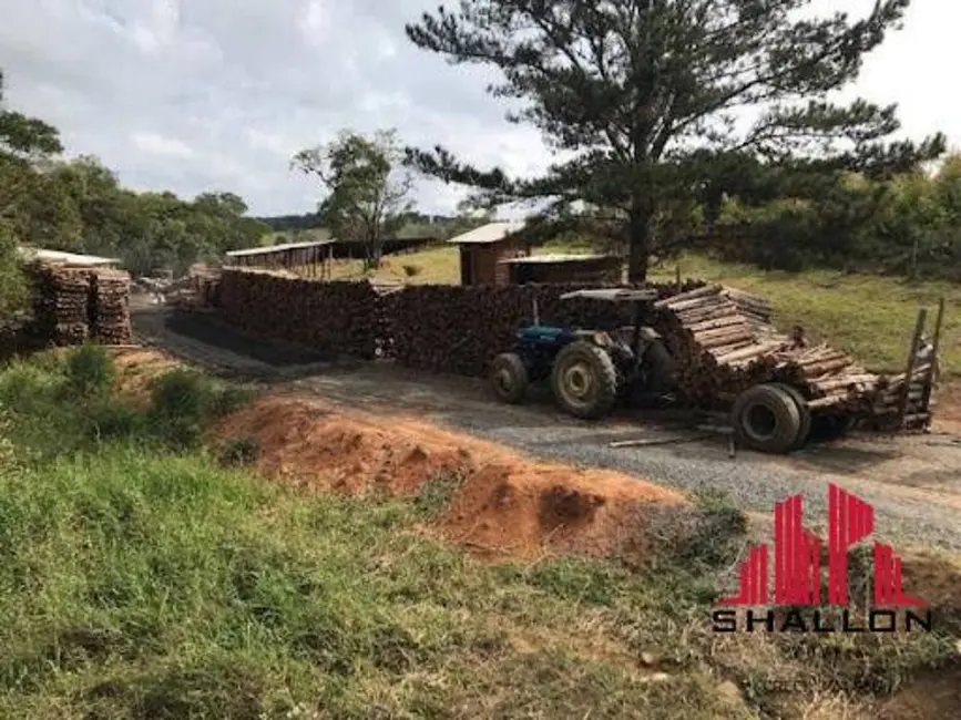 Foto 6 de Terreno / Lote à venda em Pilar Do Sul - SP