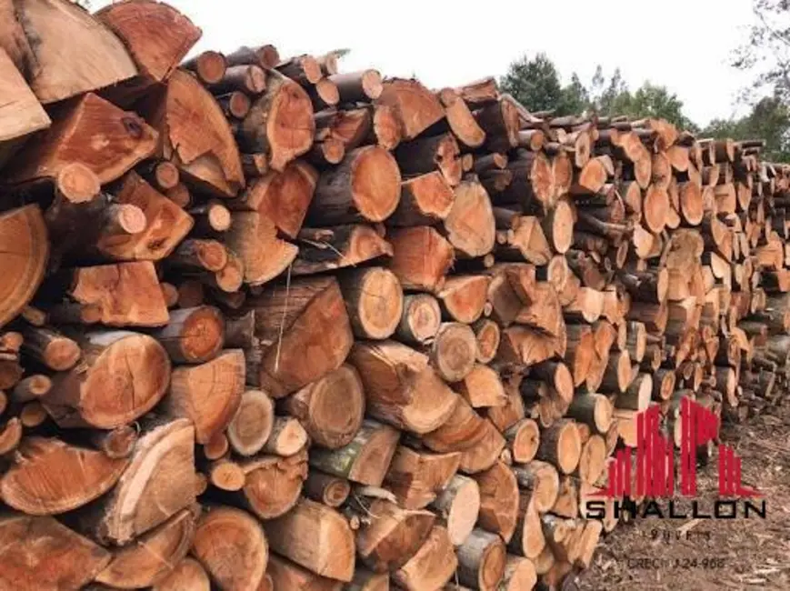 Foto 5 de Terreno / Lote à venda em Pilar Do Sul - SP