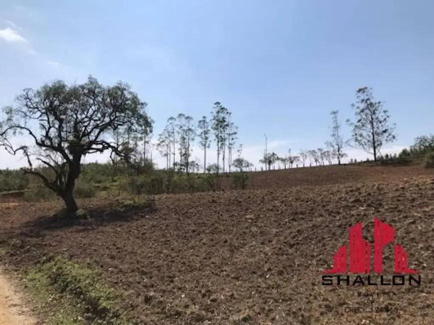Foto 3 de Terreno / Lote à venda em Pilar Do Sul - SP