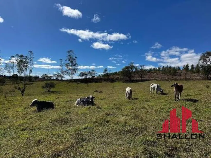 Foto 1 de Terreno / Lote à venda em Pilar Do Sul - SP