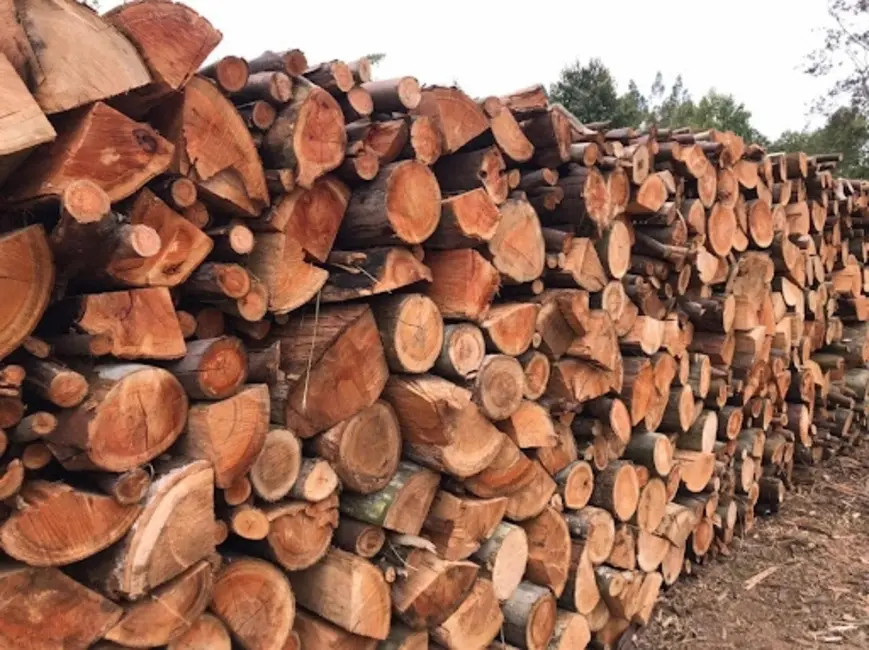 Terreno / Lote à venda em Pilar Do Sul - SP - imagem 5 Foto 5 de Terreno / Lote à venda em Pilar Do Sul - SP