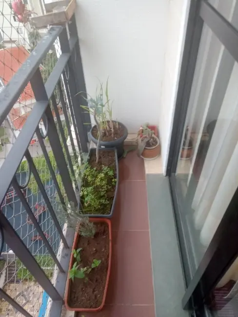 Apartamento com 3 quartos à venda, 60m2 em Jardim Dracena, São Paulo - SP - imagem 3 Foto 3 de Apartamento com 3 quartos à venda, 60m2 em Jardim Dracena, São Paulo - SP
