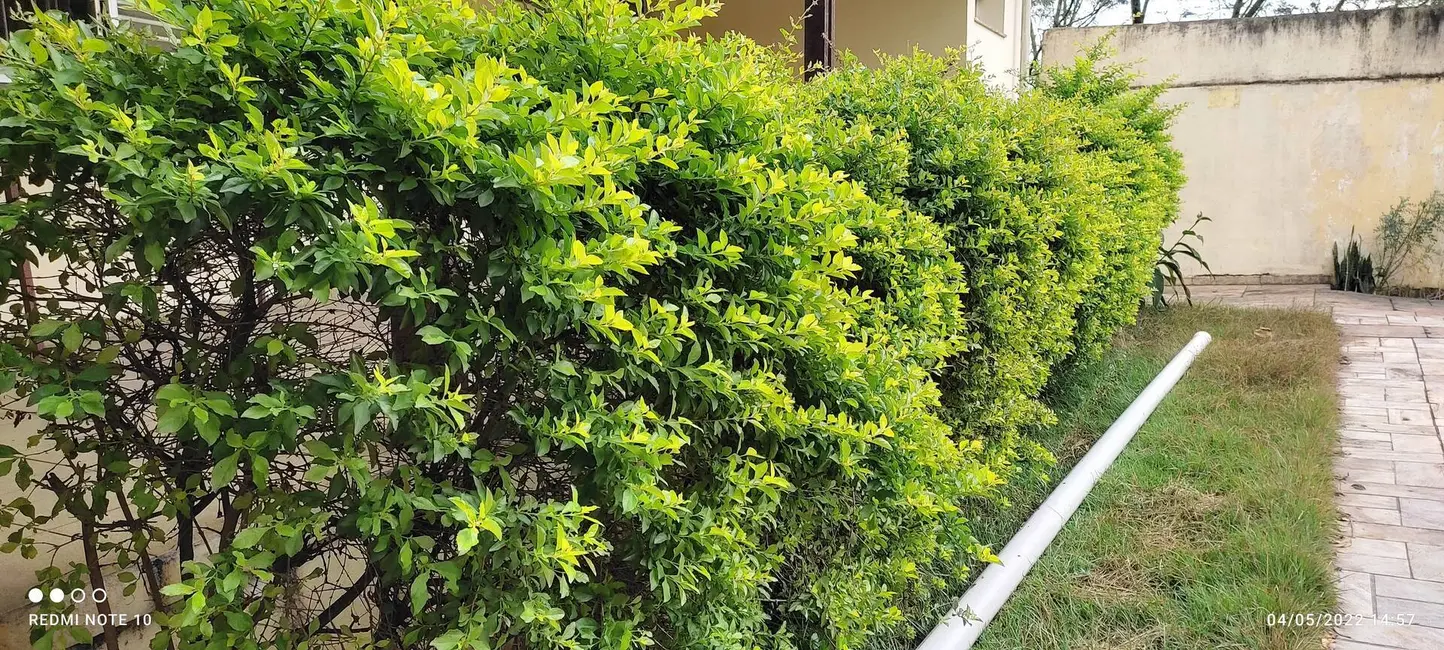 Casa com 10 quartos à venda, 542m2 em Jardim das Esmeraldas, São Paulo - SP - imagem 6 Foto 6 de Casa com 10 quartos à venda, 542m2 em Jardim das Esmeraldas, São Paulo - SP