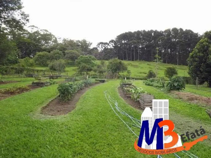 Foto 35 de Sítio / Rancho com 7 quartos à venda e para alugar, 47768m2 em Jardim República, São Paulo - SP
