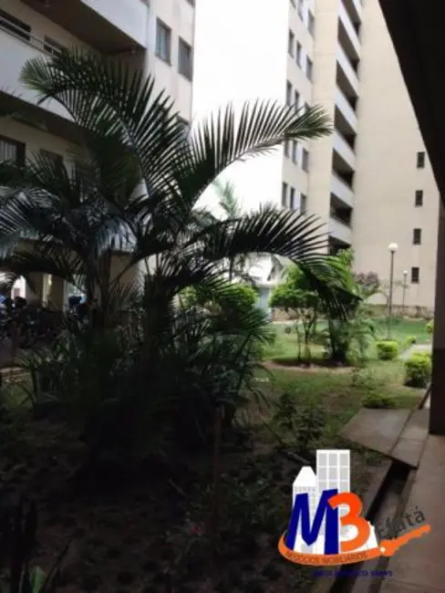 Apartamento com 2 quartos à venda em Butantã, São Paulo - SP - imagem 1 Foto 1 de Apartamento com 2 quartos à venda em Butantã, São Paulo - SP