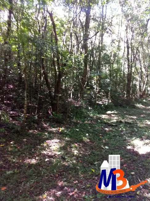 Foto 6 de Terreno / Lote à venda, 1125m2 em Caputera, Cotia - SP