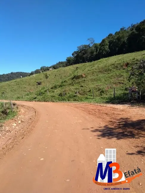 Sítio / Rancho com 3 quartos à venda, 12m2 em Centro, Sete Barras - SP - imagem 3 Foto 3 de Sítio / Rancho com 3 quartos à venda, 12m2 em Centro, Sete Barras - SP