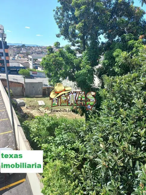 Foto 1 de Terreno / Lote à venda, 540m2 em Vila Rio Branco, São Paulo - SP