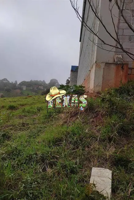 Foto 2 de Terreno / Lote à venda, 2330m2 em Palanque, São Paulo - SP