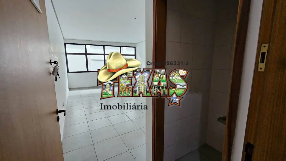 Foto 2 de Sala Comercial para alugar, 32m2 em Vila Marieta, São Paulo - SP