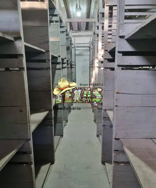 Foto 9 de Sala Comercial para alugar, 1000m2 em Jardim Santa Terezinha (Zona Leste), São Paulo - SP