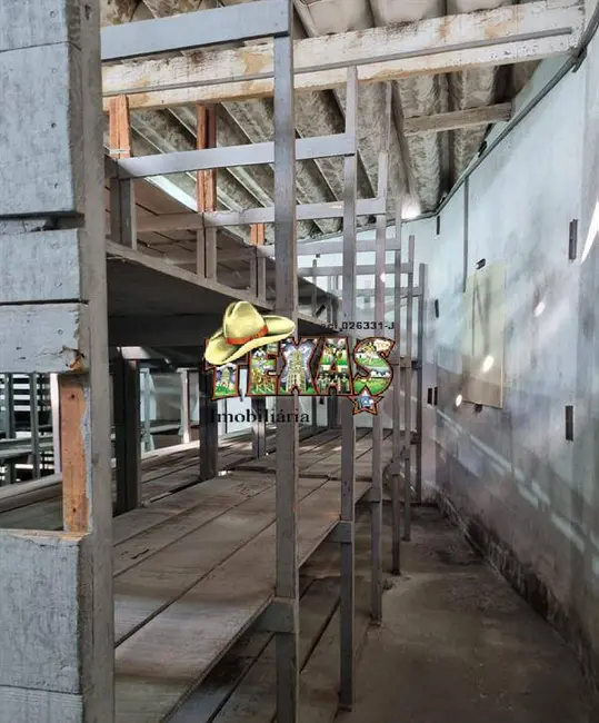 Foto 1 de Sala Comercial para alugar, 1000m2 em Jardim Santa Terezinha (Zona Leste), São Paulo - SP