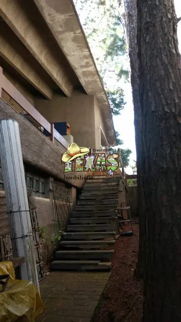 Casa com 7 quartos para alugar, 1600m2 em Vila Carmosina, São Paulo - SP - imagem 8 Foto 8 de Casa com 7 quartos para alugar, 1600m2 em Vila Carmosina, São Paulo - SP