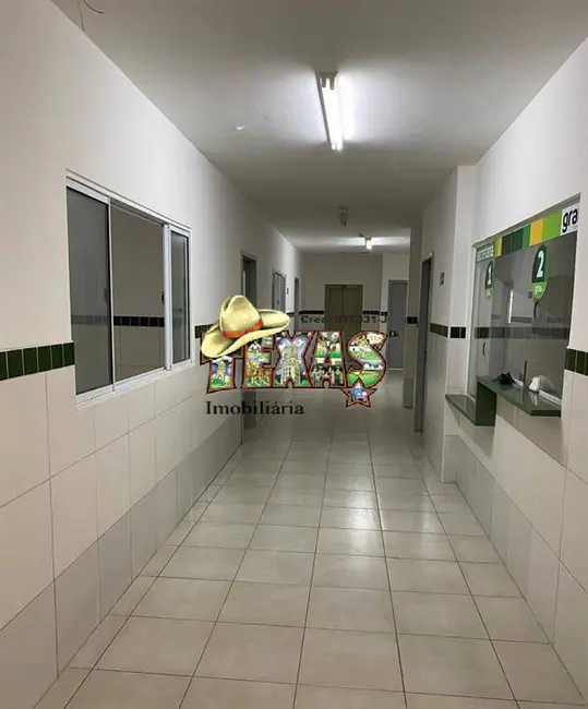 Foto 7 de Sala Comercial para alugar, 350m2 em Vila Santa Teresa (Zona Leste), São Paulo - SP