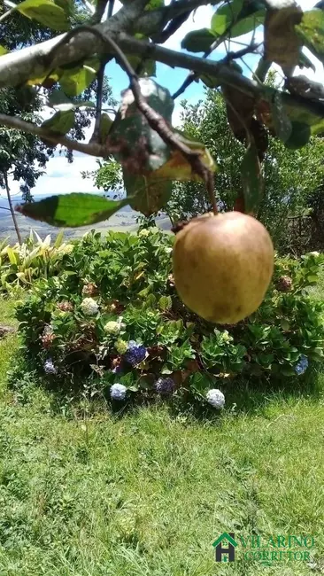 Sítio / Rancho com 3 quartos à venda, 250m2 em Conceicao Do Mato Dentro - MG - imagem 3 Foto 3 de Sítio / Rancho com 3 quartos à venda, 250m2 em Conceicao Do Mato Dentro - MG