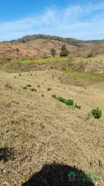 Foto 1 de Fazenda / Haras com 3 quartos à venda, 200m2 em Pecanha - MG