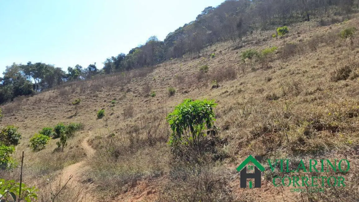 Foto 9 de Fazenda / Haras com 3 quartos à venda, 200m2 em Pecanha - MG