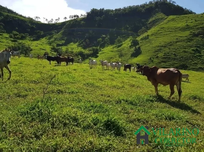 Fazenda / Haras com 3 quartos à venda, 115m2 em Ferros - MG - imagem 5 Foto 5 de Fazenda / Haras com 3 quartos à venda, 115m2 em Ferros - MG