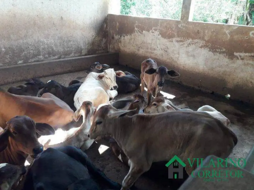 Fazenda / Haras com 4 quartos à venda, 180m2 em Caetanopolis - MG - imagem 7 Foto 7 de Fazenda / Haras com 4 quartos à venda, 180m2 em Caetanopolis - MG