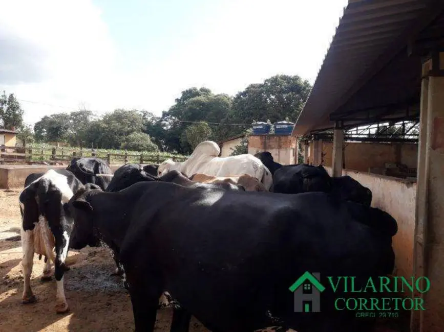 Fazenda / Haras com 4 quartos à venda, 180m2 em Caetanopolis - MG - imagem 9 Foto 9 de Fazenda / Haras com 4 quartos à venda, 180m2 em Caetanopolis - MG