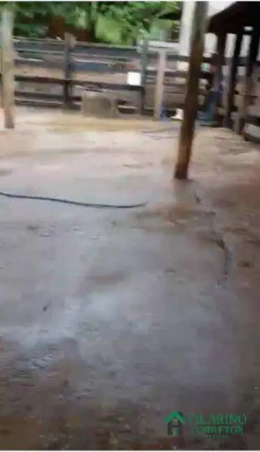 Fazenda / Haras à venda, 200m2 em Coroaci - MG - imagem 8 Foto 8 de Fazenda / Haras à venda, 200m2 em Coroaci - MG