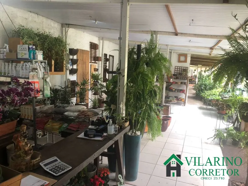 Loja à venda, 360m2 em Paquetá, Belo Horizonte - MG - imagem 5 Foto 5 de Loja à venda, 360m2 em Paquetá, Belo Horizonte - MG